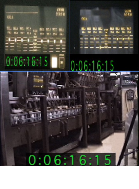 Customized Digital Video