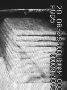 Digital Video Analysis